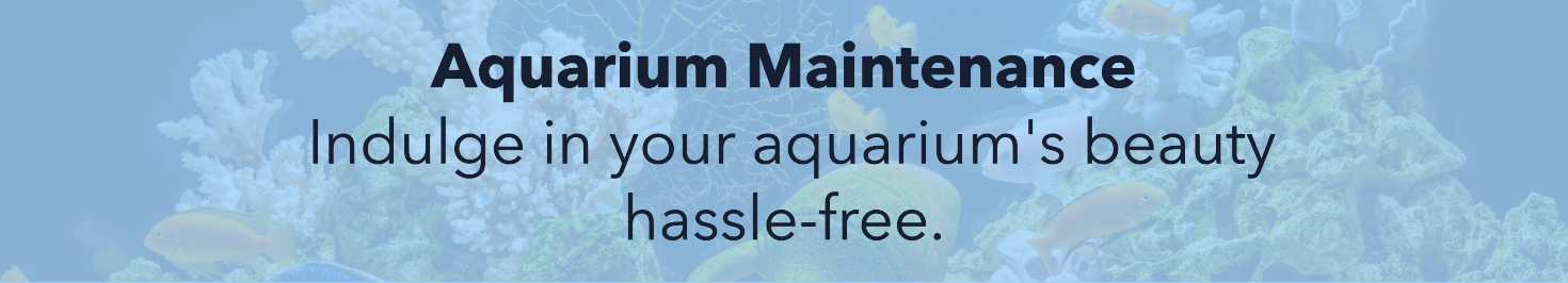 aquarium services