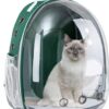 Saas backpack (green colour)