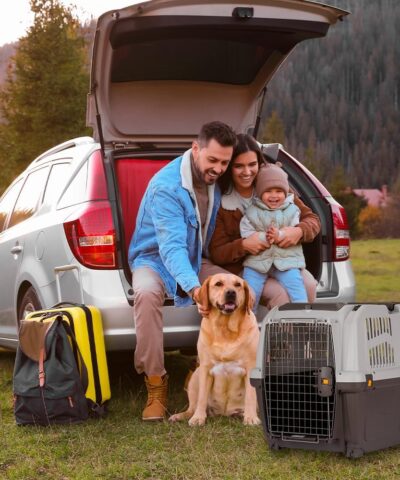 SKUDO 5 IATA Approved Pet Carrier L (81x55x58cm) for flying large dogs up to 35 kg from Dubai. Features secure metal door, storage pocket.